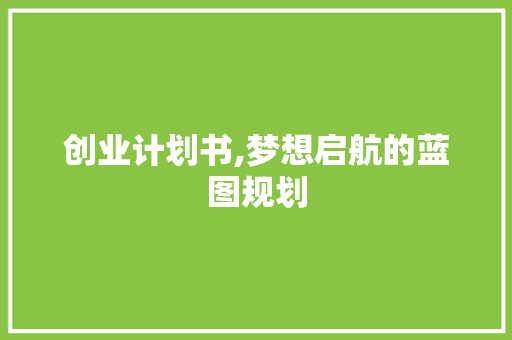 创业计划书,梦想启航的蓝图规划