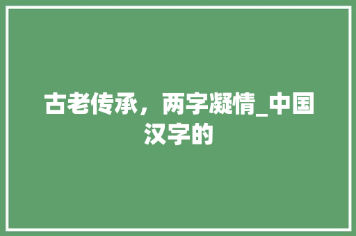 古老传承，两字凝情_中国汉字的