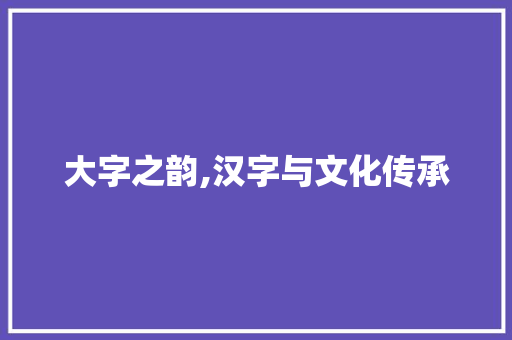 大字之韵,汉字与文化传承
