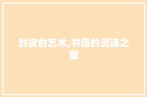 封皮的艺术,书籍的灵魂之窗 近义词汇