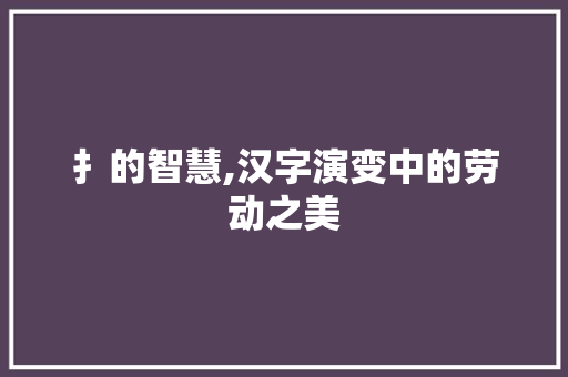 扌的智慧,汉字演变中的劳动之美