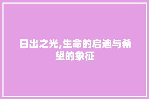 日出之光,生命的启迪与希望的象征