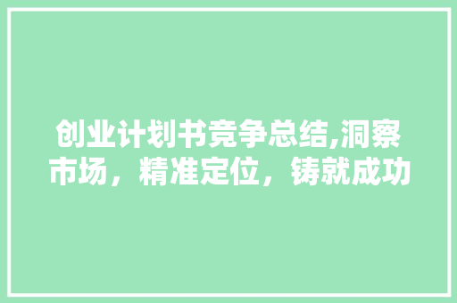 创业计划书竞争总结,洞察市场，精准定位，铸就成功之路 古代典籍