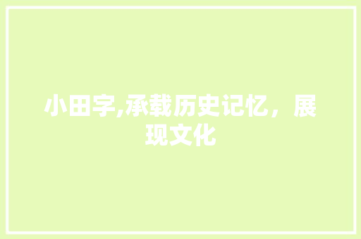 小田字,承载历史记忆，展现文化