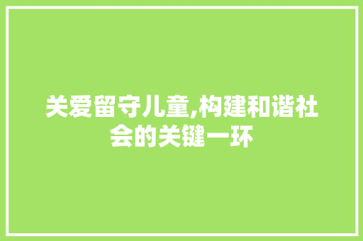 关爱留守儿童,构建和谐社会的关键一环