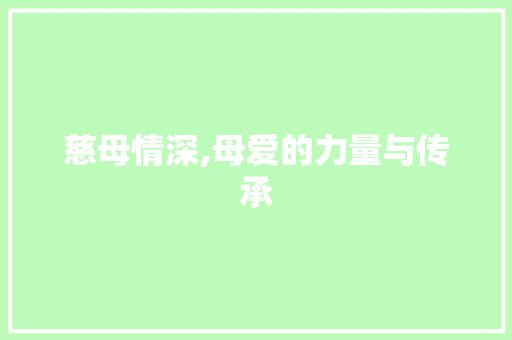 慈母情深,母爱的力量与传承