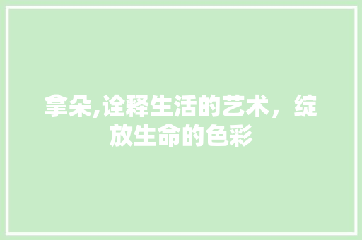 拿朵,诠释生活的艺术，绽放生命的色彩