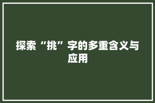 探索“挑”字的多重含义与应用