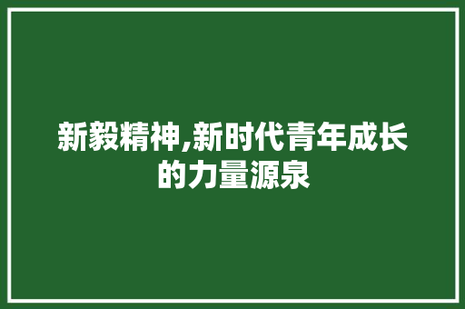 新毅精神,新时代青年成长的力量源泉