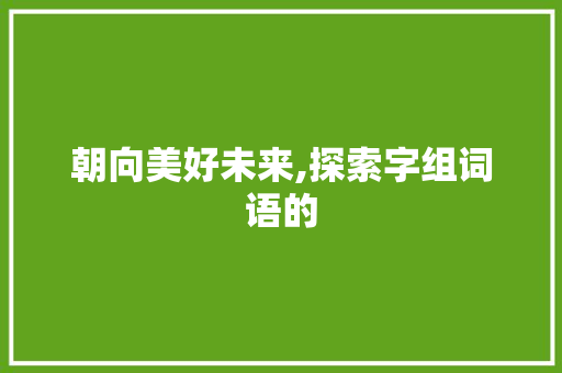 朝向美好未来,探索字组词语的 汉字拼音