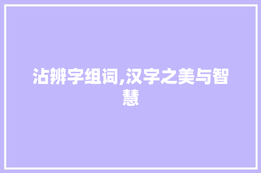 沾辨字组词,汉字之美与智慧