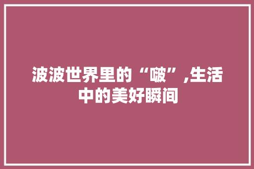 波波世界里的“啵”,生活中的美好瞬间