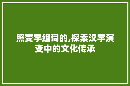 照变字组词的,探索汉字演变中的文化传承