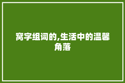 窝字组词的,生活中的温馨角落