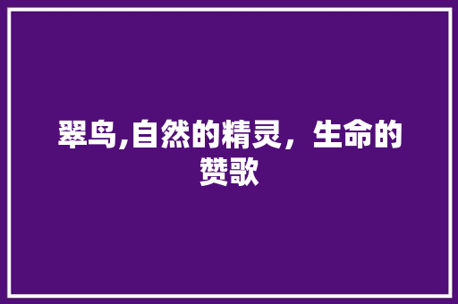 翠鸟,自然的精灵，生命的赞歌 短语