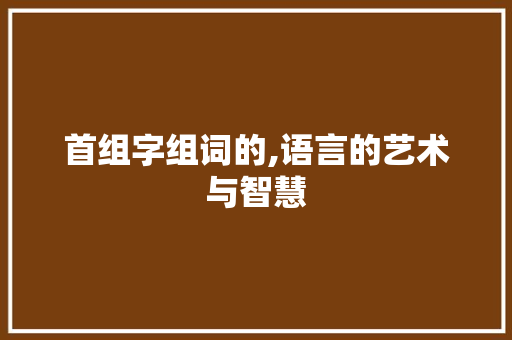 首组字组词的,语言的艺术与智慧