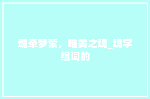 魂牵梦萦，唯美之魂_魂字组词的