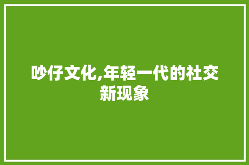 吵仔文化,年轻一代的社交新现象