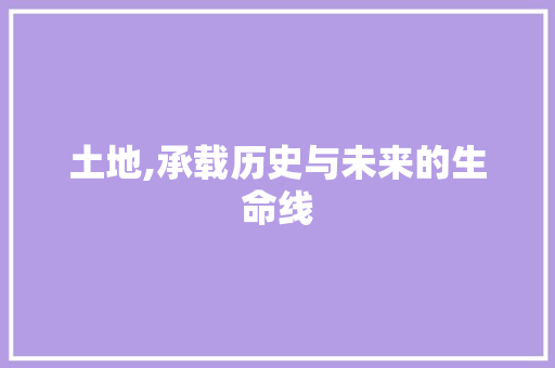 土地,承载历史与未来的生命线