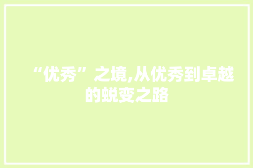 “优秀”之境,从优秀到卓越的蜕变之路