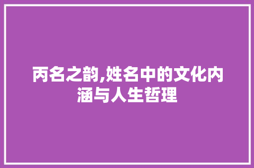 丙名之韵,姓名中的文化内涵与人生哲理