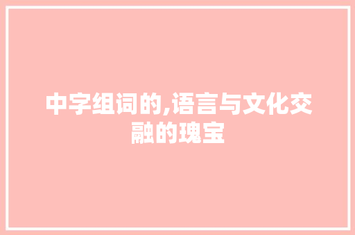 中字组词的,语言与文化交融的瑰宝