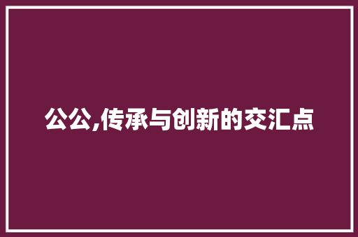 公公,传承与创新的交汇点