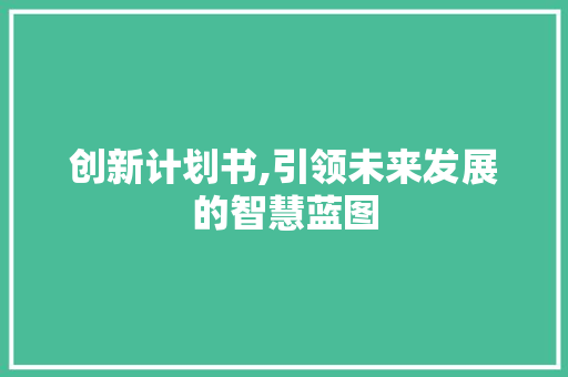 创新计划书,引领未来发展的智慧蓝图