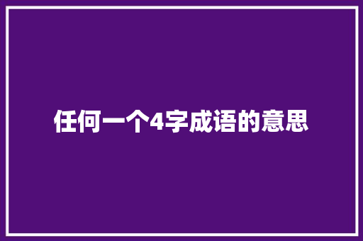 任何一个4字成语的意思