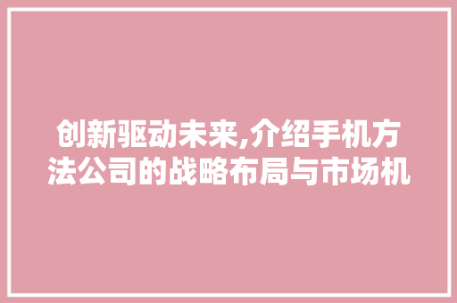 创新驱动未来,介绍手机方法公司的战略布局与市场机遇