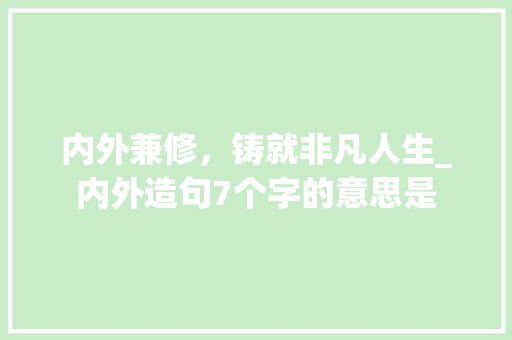 内外兼修，铸就非凡人生_内外造句7个字的意思是