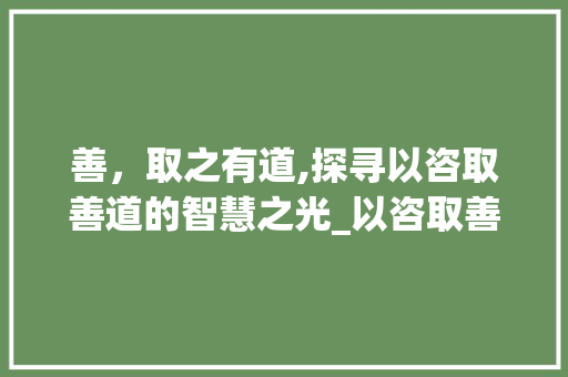 善，取之有道,探寻以咨取善道的智慧之光_以咨取善道的善字的意思