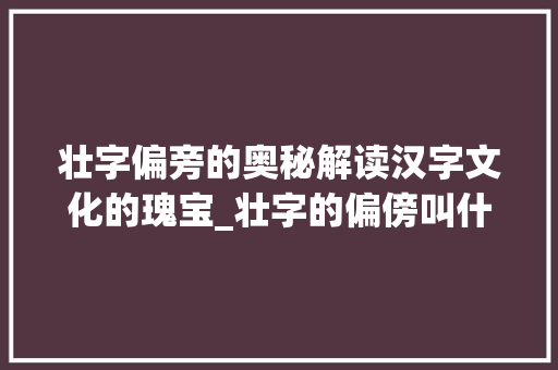壮字偏旁的奥秘解读汉字文化的瑰宝_壮字的偏傍叫什么意思