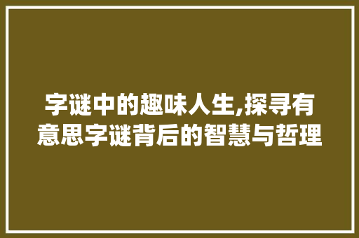 字谜中的趣味人生,探寻有意思字谜背后的智慧与哲理_有意思的字谜打一字