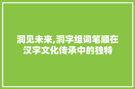 洞见未来,洞字组词笔顺在汉字文化传承中的独特