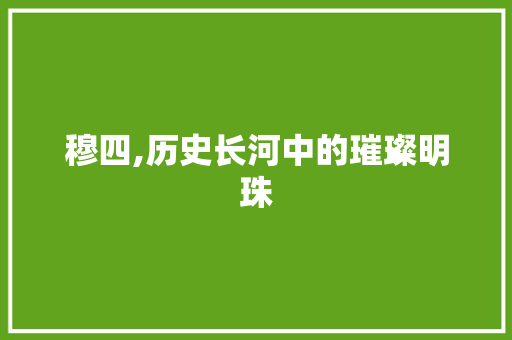 穆四,历史长河中的璀璨明珠