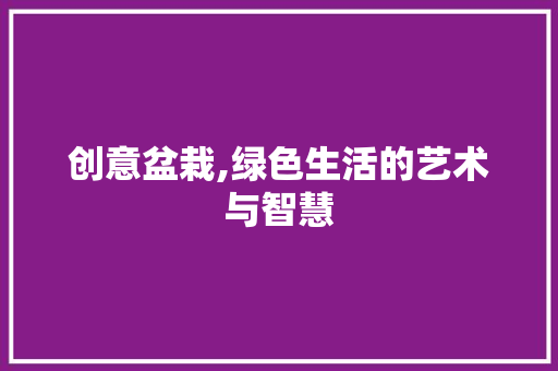 创意盆栽,绿色生活的艺术与智慧