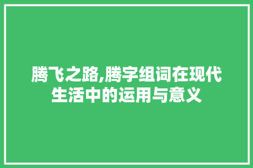 腾飞之路,腾字组词在现代生活中的运用与意义