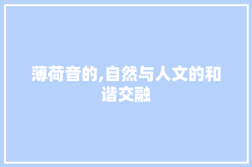 薄荷音的,自然与人文的和谐交融