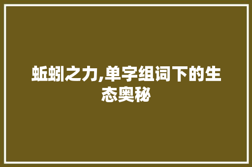 蚯蚓之力,单字组词下的生态奥秘
