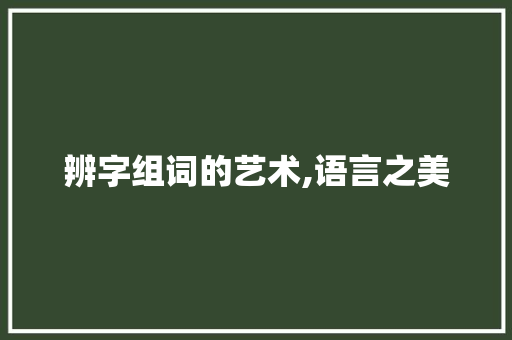 辨字组词的艺术,语言之美