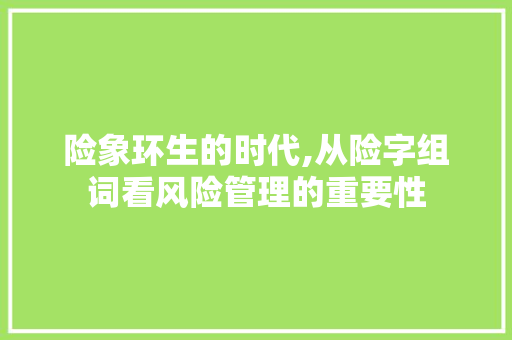 险象环生的时代,从险字组词看风险管理的重要性