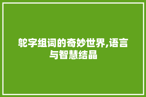 鸵字组词的奇妙世界,语言与智慧结晶
