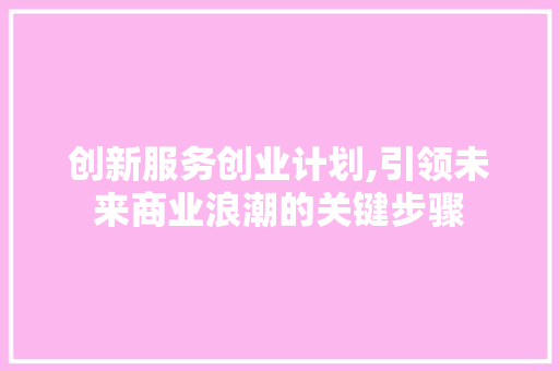 创新服务创业计划,引领未来商业浪潮的关键步骤
