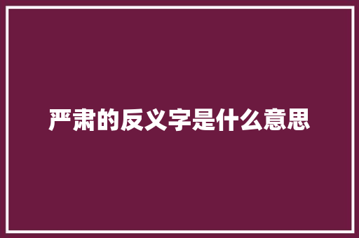 严肃的反义字是什么意思