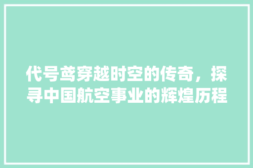 代号鸢穿越时空的传奇，探寻中国航空事业的辉煌历程_代号鸢七个字的意思