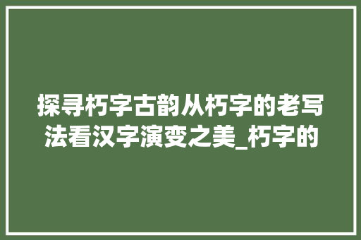 探寻朽字古韵从朽字的老写法看汉字演变之美_朽字的老写法是什么意思