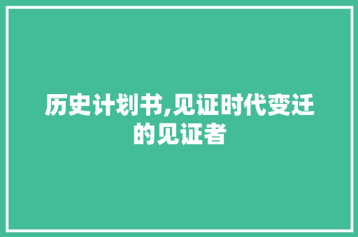 历史计划书,见证时代变迁的见证者