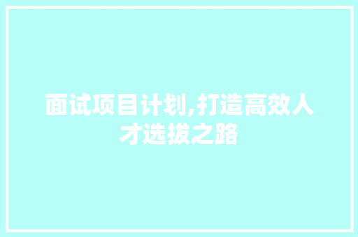 面试项目计划,打造高效人才选拔之路