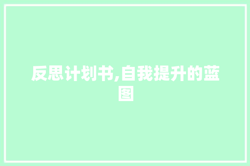 反思计划书,自我提升的蓝图